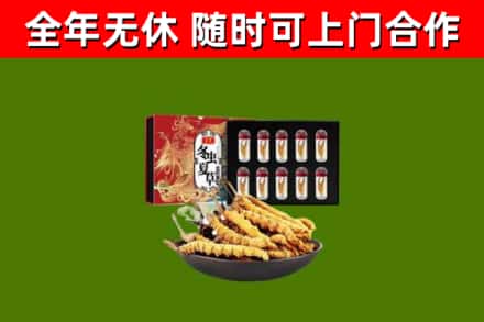 吉州回收冬虫夏草价格